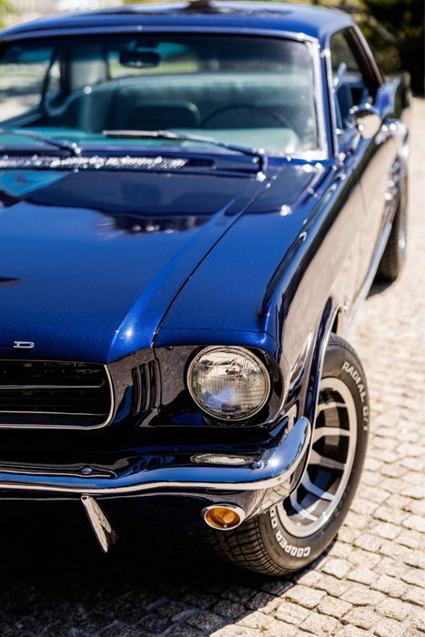 Mustang para ALUGUER ou VENDA