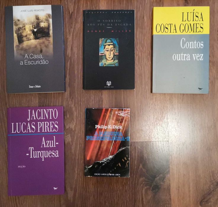 Livros Cunningham, Bellow, McEwan, Amis, Peixoto, Paixão