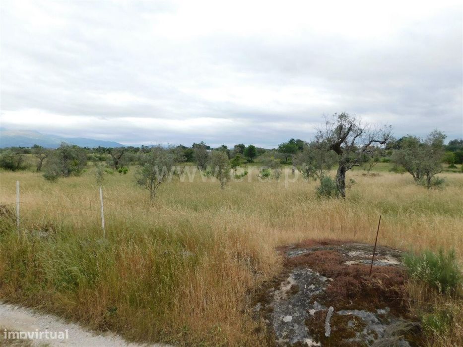 Rural Land / Seia, Sameice