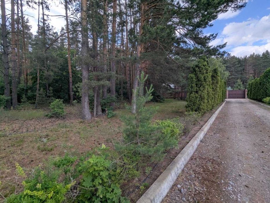 Продаж земельних ділянок у м. Васильків - Вид 3