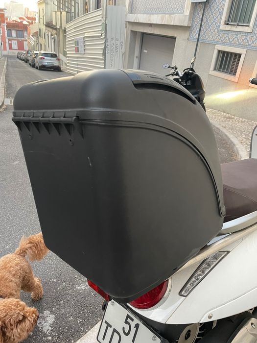 Cabine Pet para Mota