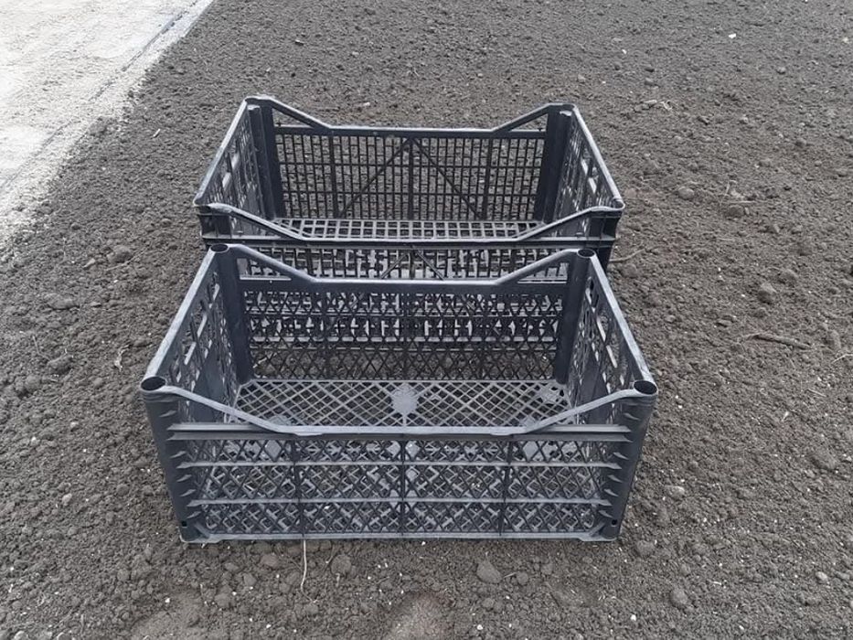 Skrzynki na warzywa plastikowe 50x30