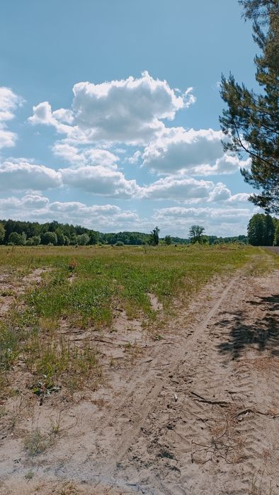 Sprzedam nieruchomość gruntową - Widok 6