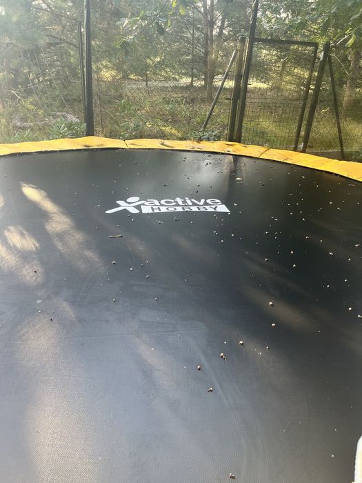 Trampolina duża Swornegacie