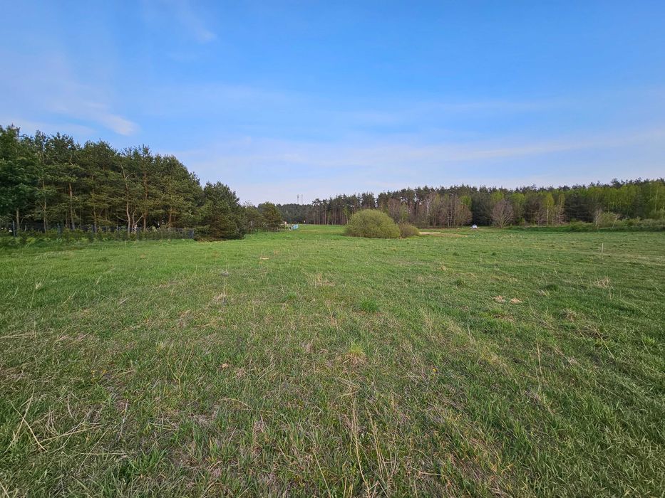 Działka budowlana w Koleczkowie - Widok 2