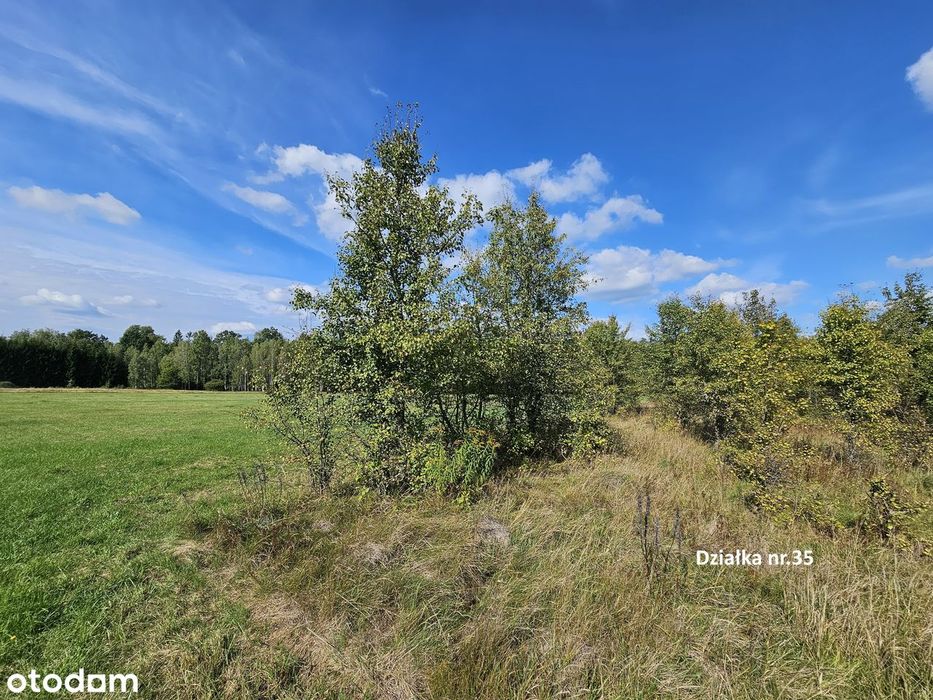Własne Miejsce W Puszczy Białowieskiej–Cisza, Natura I Off-Grid 0,56Ha