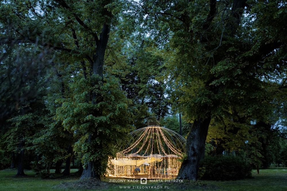 Fairy Lights Oświetlenie Wypożyczalnia Dekoracji