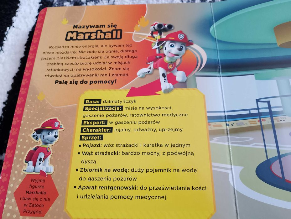 Nazywam się Marshall Psi Patrol