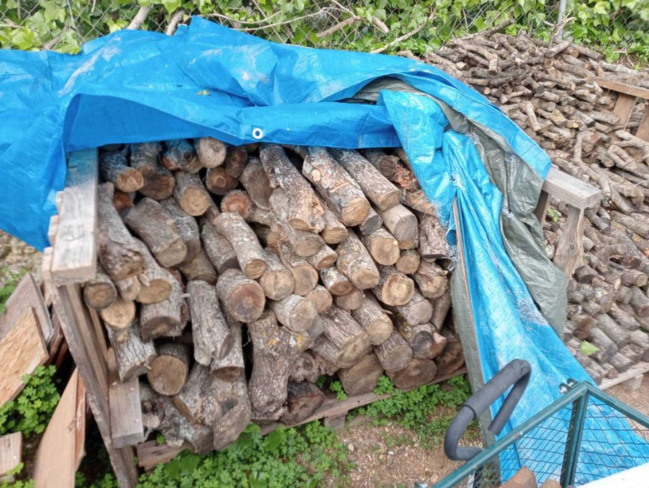 Lenha em sacos de 10/15/20 kg