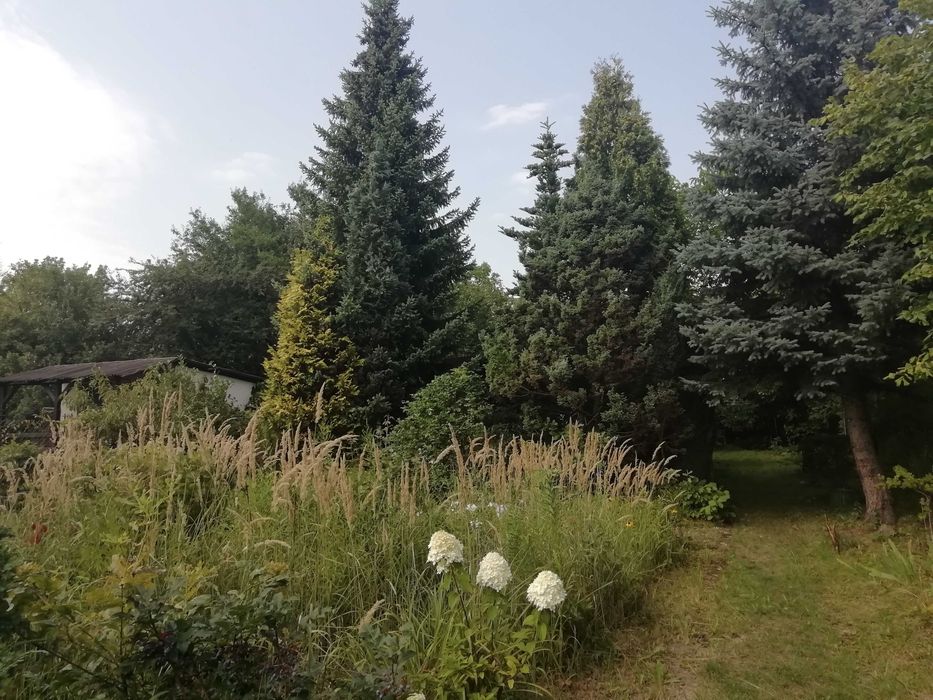 Działka 550 m² ROD im J. Ligonia - Muchowiec, Meteorologów - Widok 6