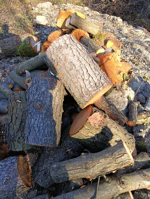 Drewno opał olcha klocki