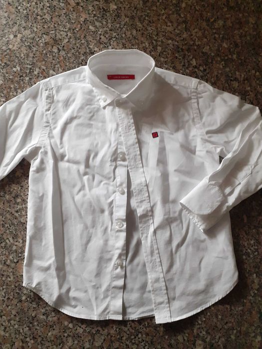 Camisa Lion of Porches