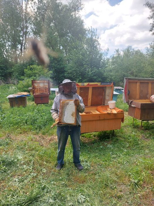 Продам натуральний мед