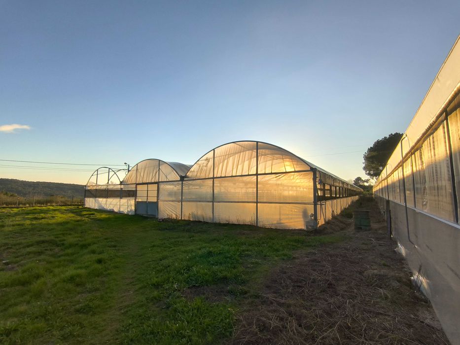 2 estufas agrícolas