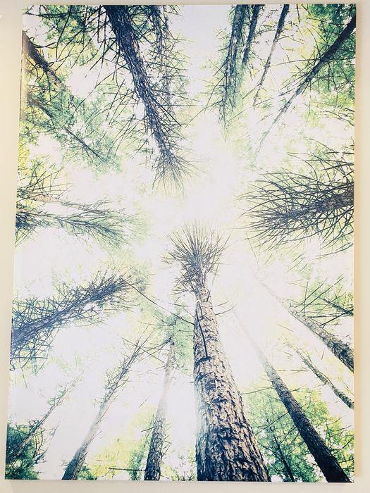 Tela com Moldura IKEA