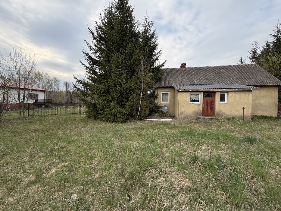 Sprzedam działke 3,9 ha - Widok 3