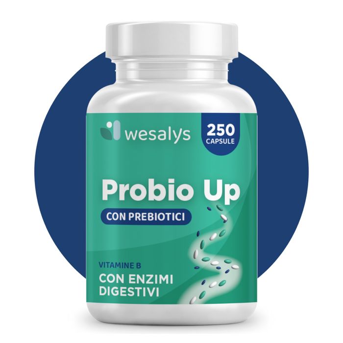 Probio Up Recupere o equilíbrio intestinal
