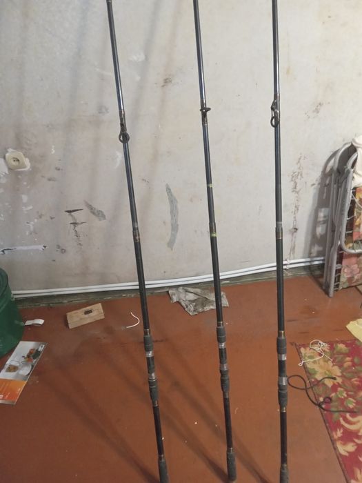 Спінінг карповий