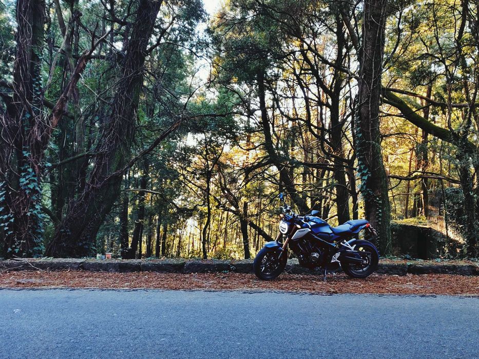 Honda CB650R Neo Sports Cafe 2021 70KW