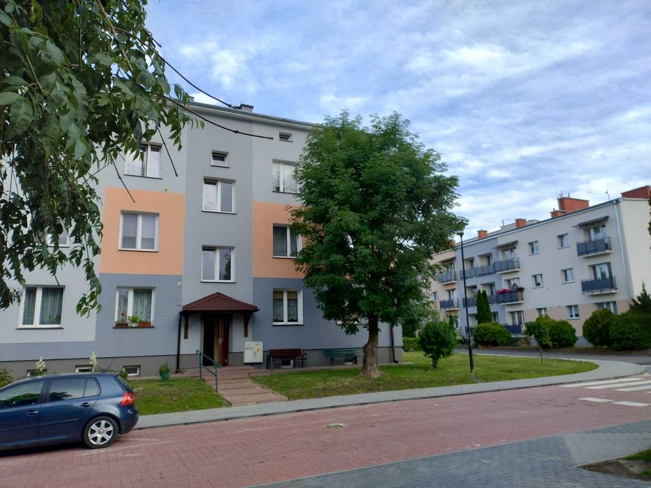 Zdjęcie 4