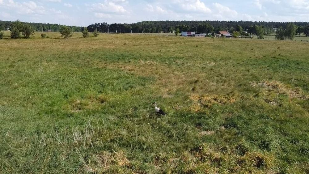 Sprzedam działki budowlane na Mazurach - Widok 5