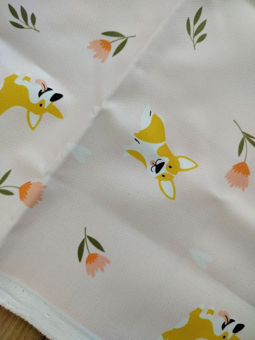 Obrus piknikowy w pieski