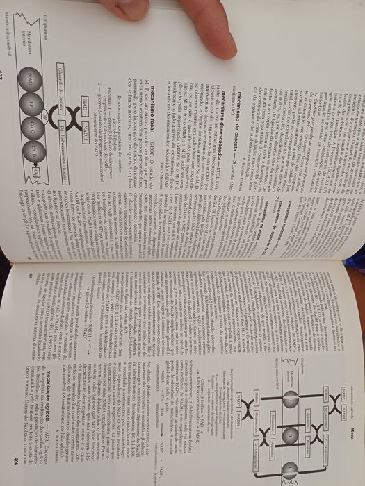 Enciclopédia Luso-Brasileira Verbo