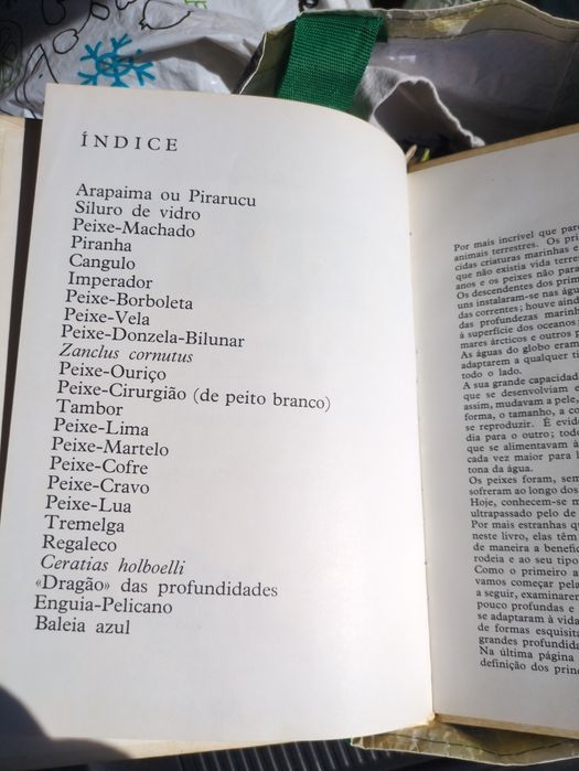 Livros Maravilhosos Peixes de Norman Weaver e Christine Bernard