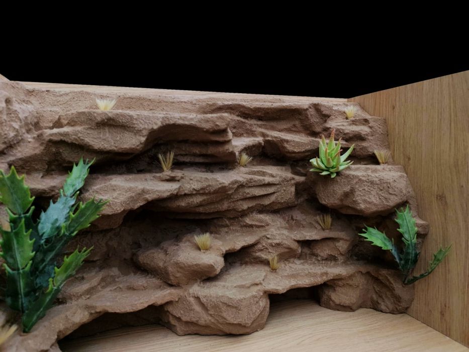 Terrarium gekon lamparci