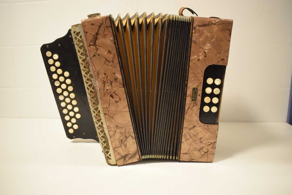 Vendo concertina hohner 2 voz  tonalidade La N 265