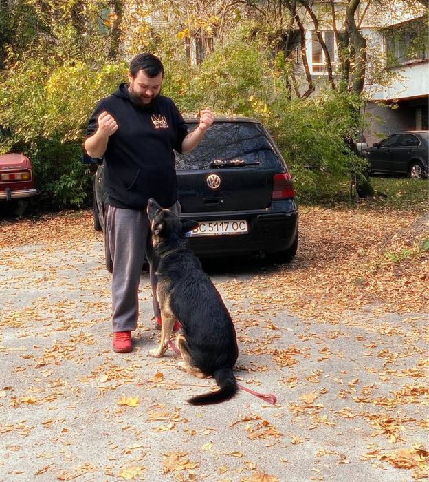 Послуги Кінолога