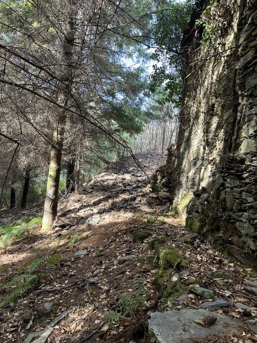 Quinta com 5hec - Serra da Lousã