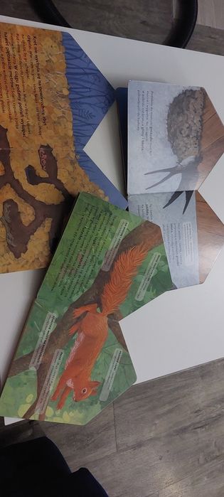 Edukacyjne książki o zwierzętach Jaskółka, kret,  wiewiorka