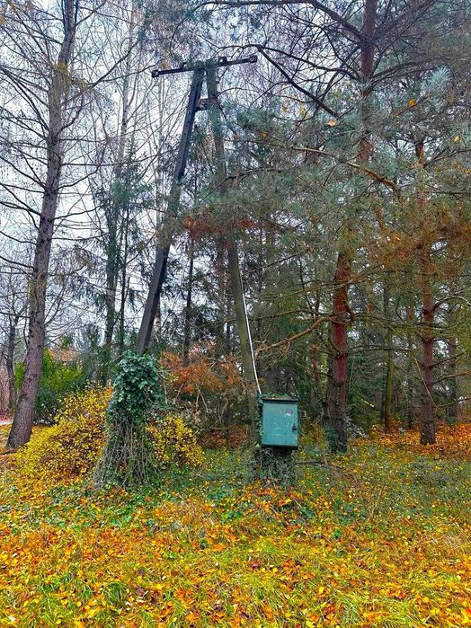 Łomianki Dolne | DZIAŁKA 3000 m² na dom z charakterem, ogrodem i śliwkowym sadem - Więcej