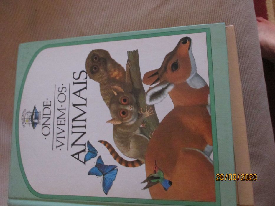 4 livros - Horizontes do mundo