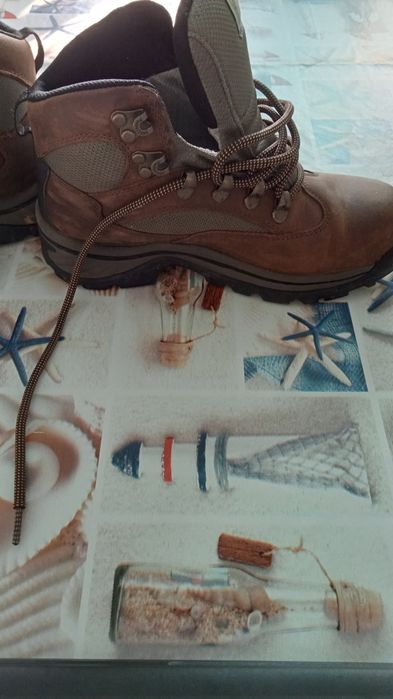 Venda de bota Timberland