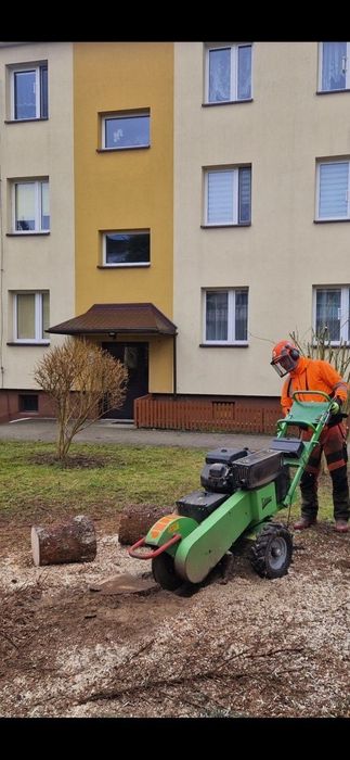 Frezowanie Pni Karczowanie  i Mulczowanie działek