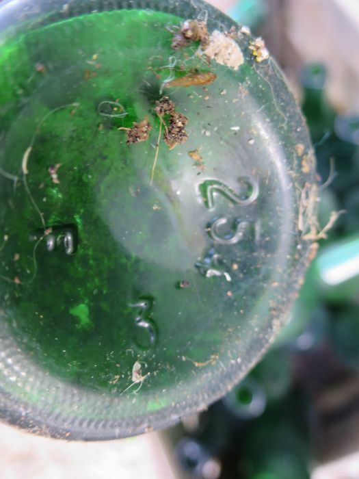 Garrafas Vinho Pedras Negras vidro pequenas velharias Adega Palmela