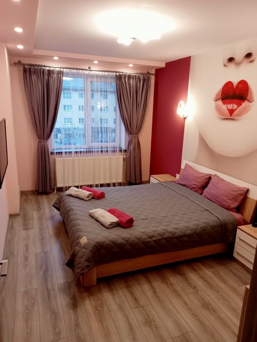 Вільно Новий Рік ! Подобово 2-х кімнатна вул. Мельника 10 (центр)