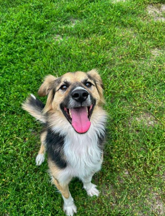 Cudny Mati szuka cudownej rodzinki