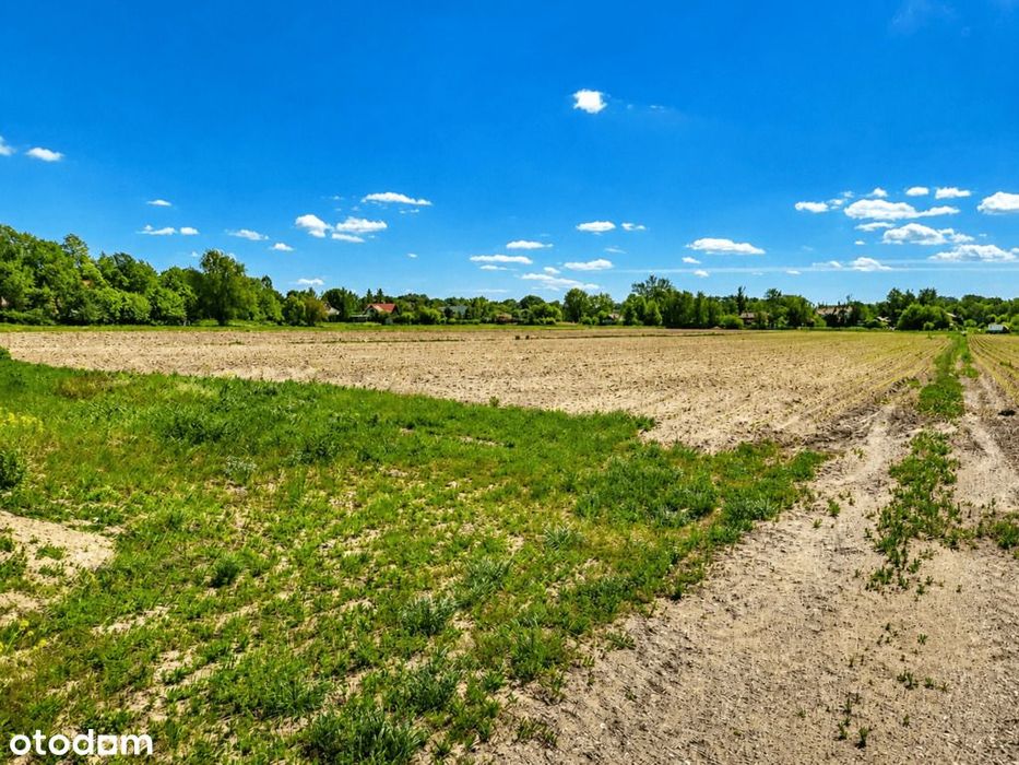 7794 m² pod inwestycję + dom - Widok 2