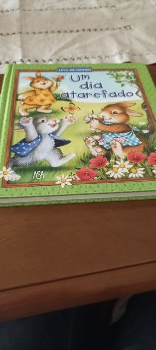 Livro um dia atarefado