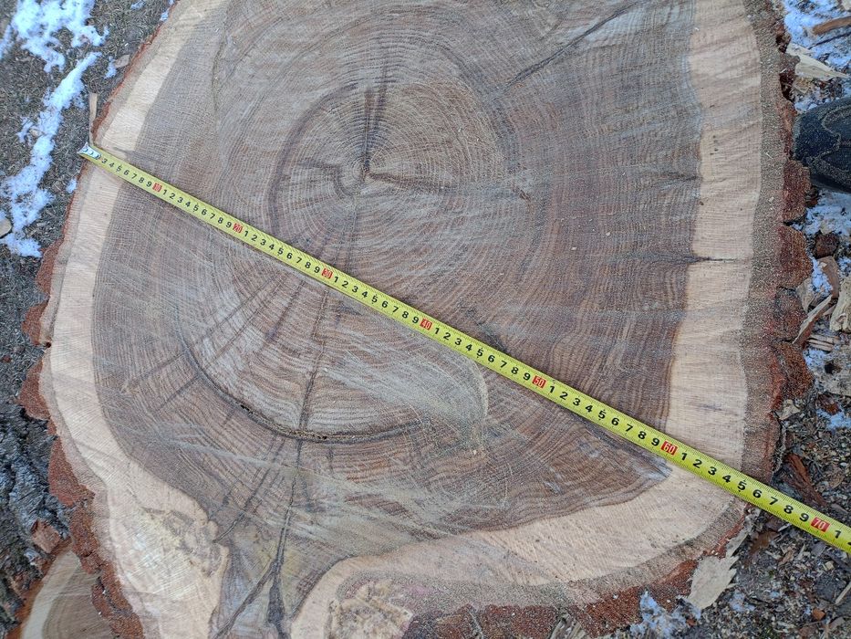 Sprzedam.plastery,dębowe 10 sztuk