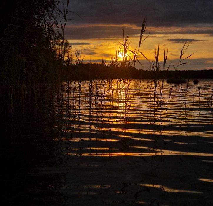 Domek letniskowy nad zbiornikiem wodnym Niwka