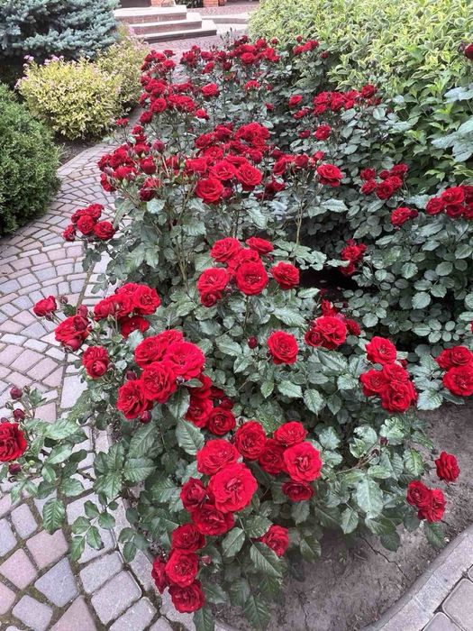 Облаштований, новий Будинок з меблями та технікою.