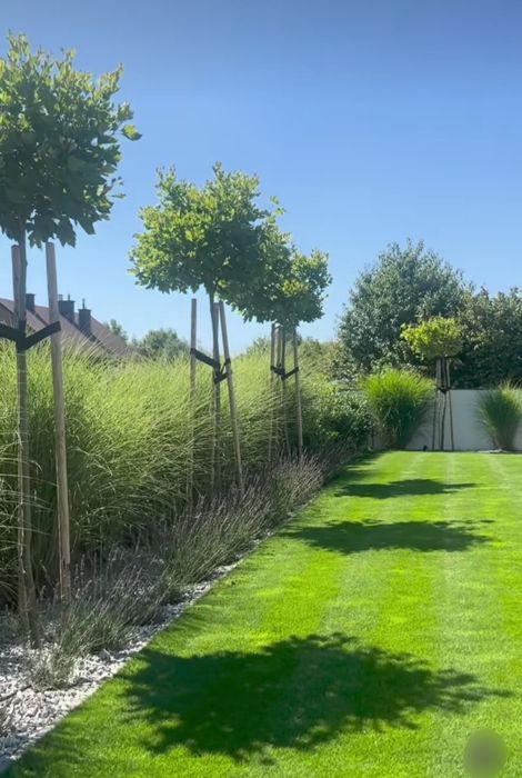 Газон • Полив • Ландшафтний дизайн