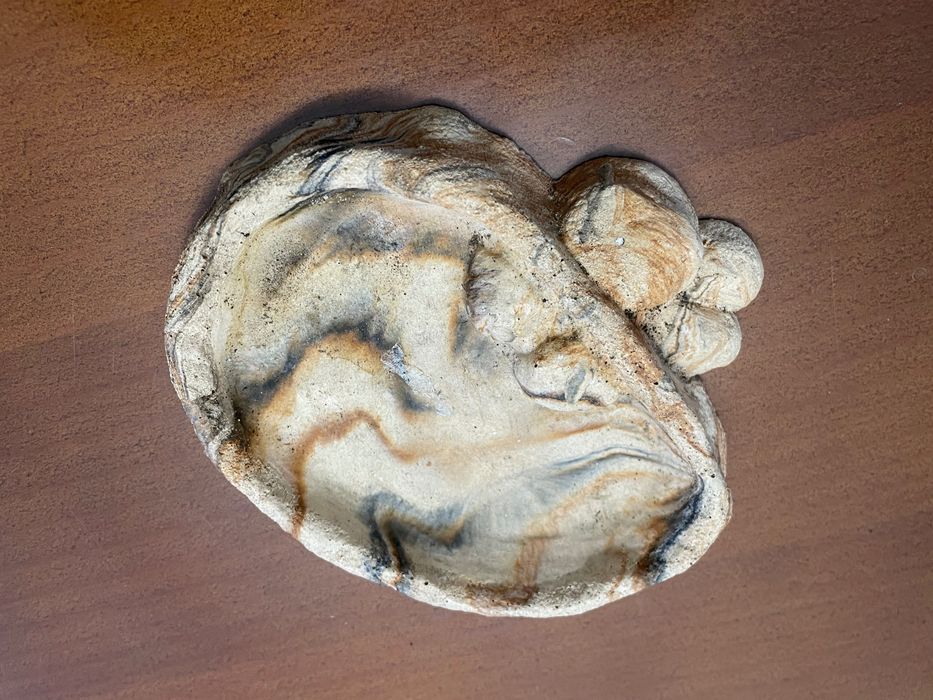 Material de terrário / Pludário /Aquário