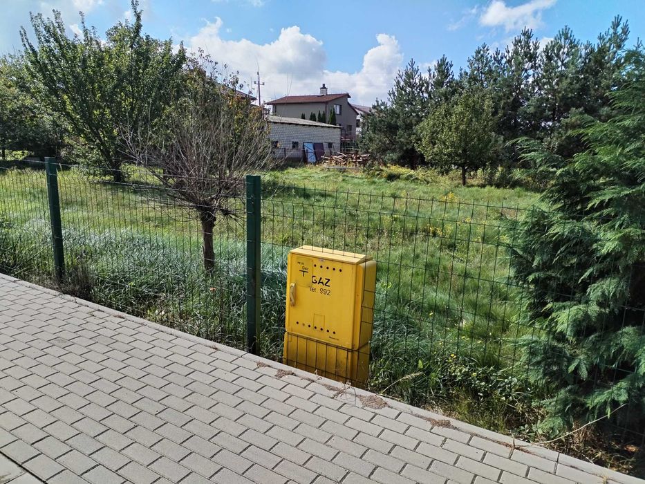 Zdjęcie 2