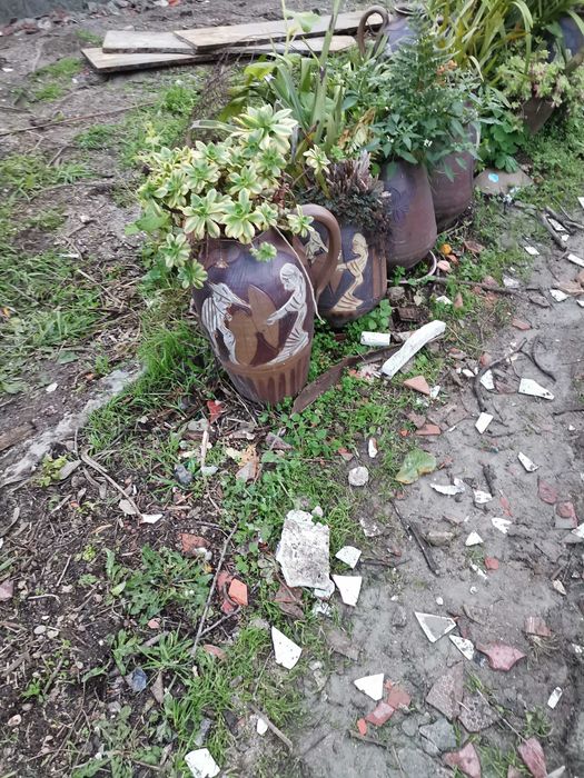 Vendo vasos como novos