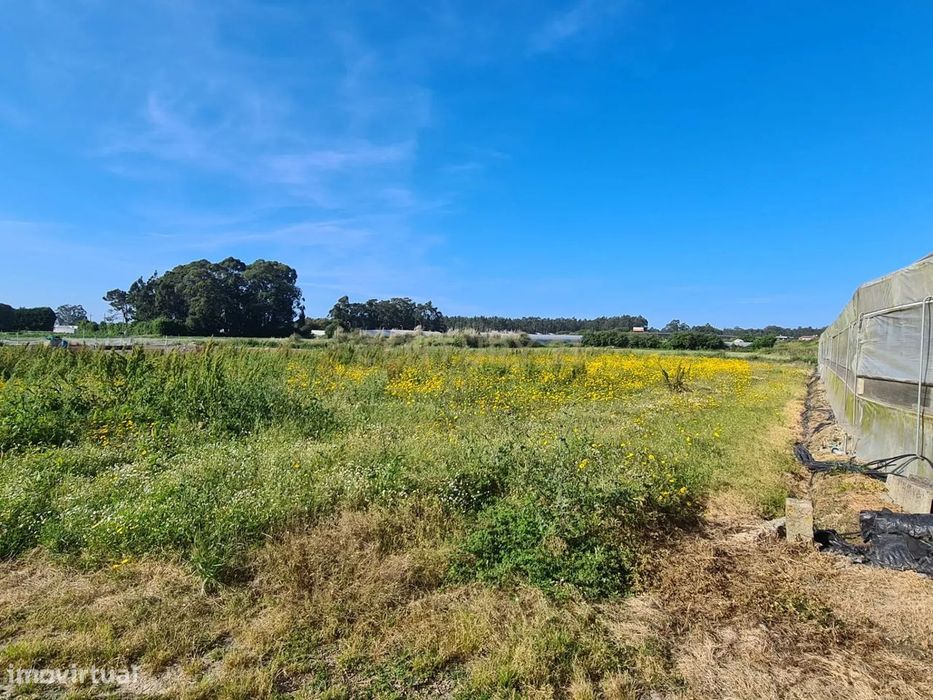 Terreno Rústico em Navais na Póvoa de Varzim